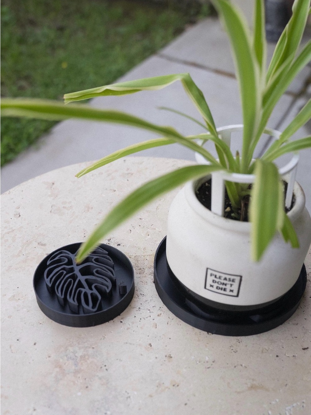 Monstera Leaf Plant Saucer Tray 9” | Large Plant Drip Tray